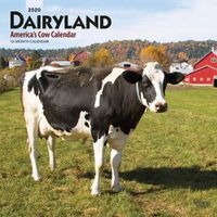 Cover image for Dairyland America's Cow Calendar 2020 Square