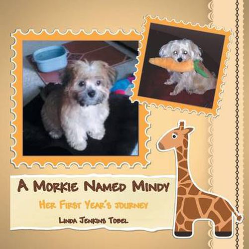 Cover image for A Morkie Named Mindy