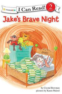 Cover image for Jake's Brave Night: Biblical Values, Level 2