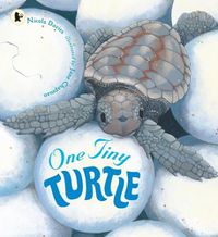 Cover image for One Tiny Turtle