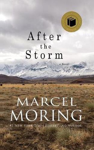 Cover image for After the Storm