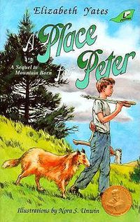 Cover image for A Place for Peter