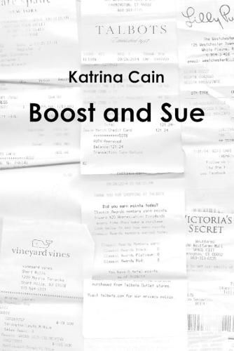 Cover image for Boost and Sue