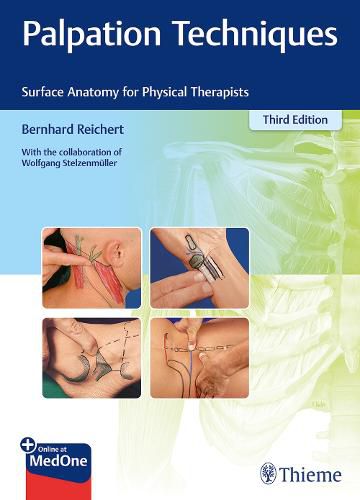 Cover image for Palpation Techniques: Surface Anatomy for Physical Therapists