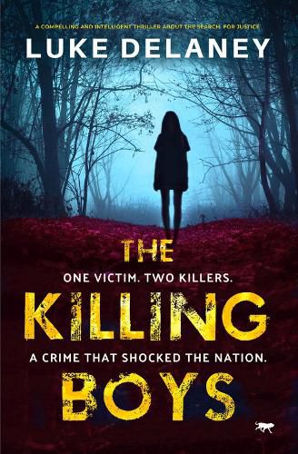 Cover image for The Killing Boys