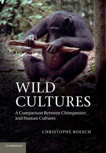 Cover image for Wild Cultures: A Comparison between Chimpanzee and Human Cultures