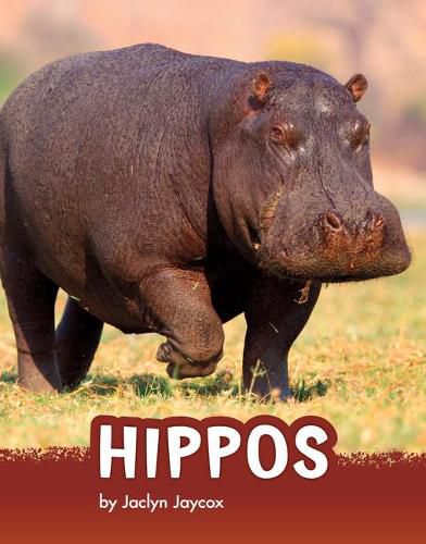 Cover image for Hippos