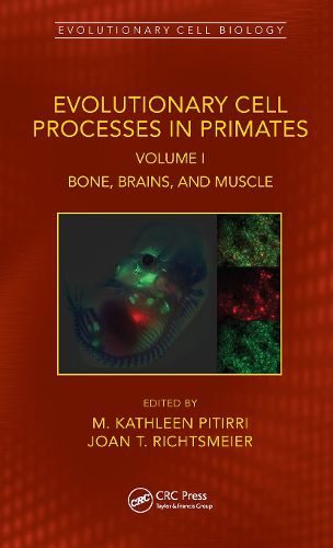 Cover image for Evolutionary Cell Processes in Primates