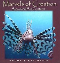 Cover image for Marvels of Creation: Sensational Sea Creatures