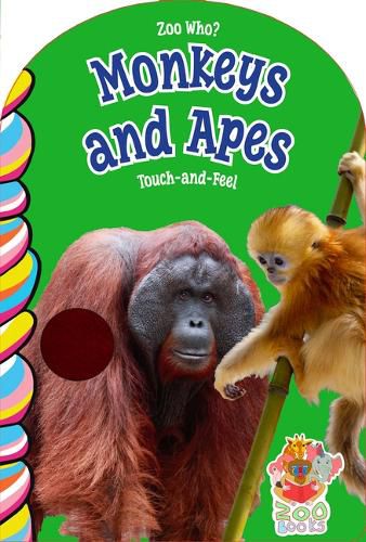 Cover image for Monkeys and Apes Touch and Feel