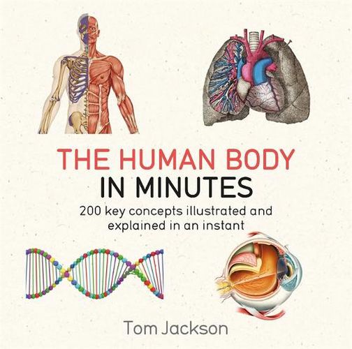 Cover image for The Human Body in Minutes