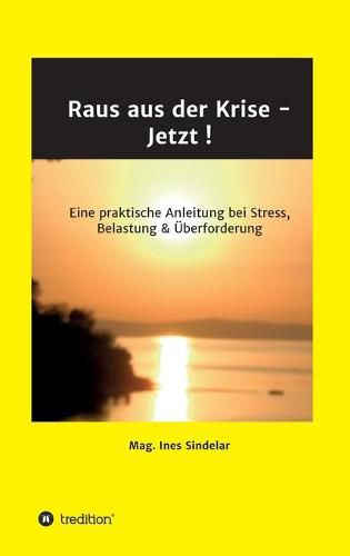 Cover image for Raus aus der Krise - Jetzt !: Eine praktische Anleitung bei Stress, Belastung & UEberforderung