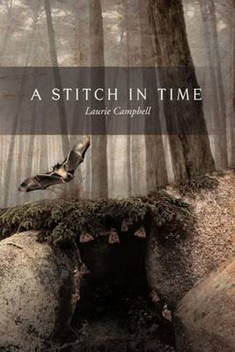 Cover image for A Stitch in Time