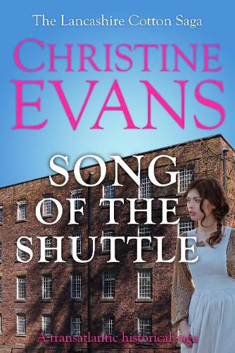 Cover image for Song of the Shuttle