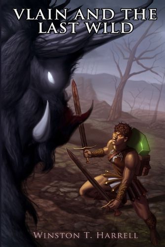 Cover image for Vlain and the Last Wild