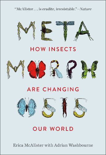 Cover image for Metamorphosis