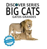 Cover image for Big Cats / Gatos Grandes