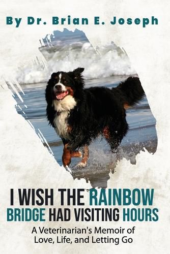 I Wish the Rainbow Bridge Had Visiting Hours