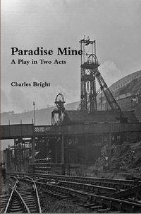 Cover image for Paradise Mine