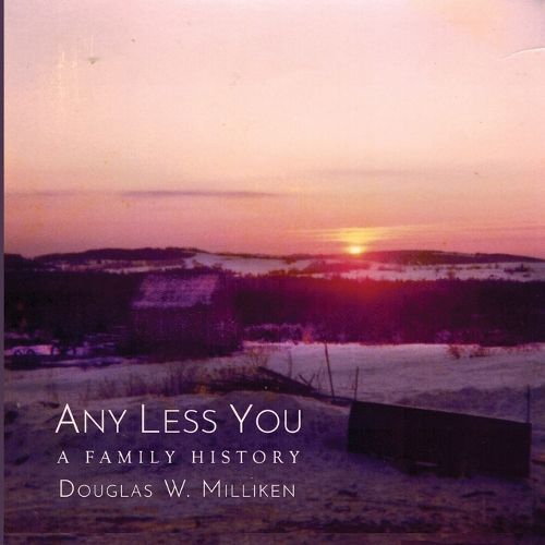 Cover image for Any Less You