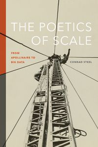Cover image for The Poetics of Scale