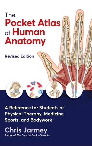 The Pocket Atlas of Human Anatomy: A Reference for Students of Physical Therapy, Medicine, Sports, and Bodywork