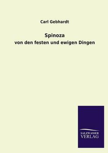 Cover image for Spinoza