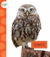 Cover image for Owls