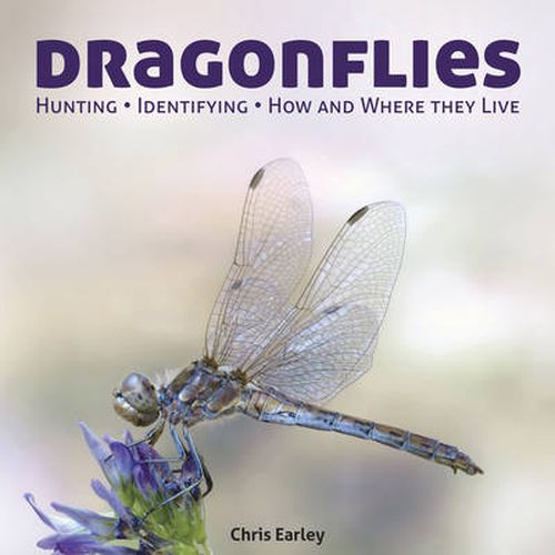 Cover image for Dragonflies: Hunting - Identifying - How and Where They Live