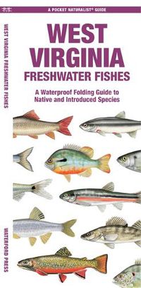 Cover image for West Virginia Freshwater Fishes