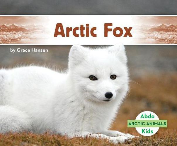 Cover image for Arctic Fox