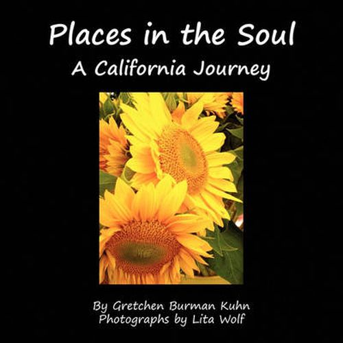 Cover image for Places in the Soul