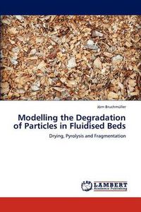 Cover image for Modelling the Degradation of Particles in Fluidised Beds