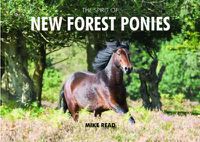 Cover image for The Spirit of New Forest Ponies