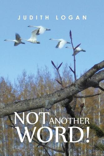 Cover image for Not Another Word!