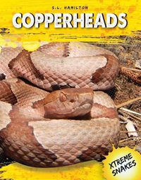 Cover image for Copperheads