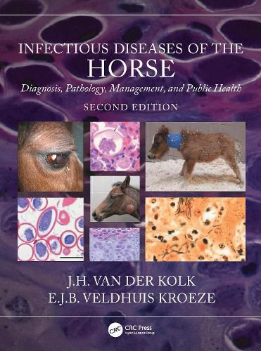 Cover image for Infectious Diseases of the Horse: Diagnosis, pathology, management, and public health