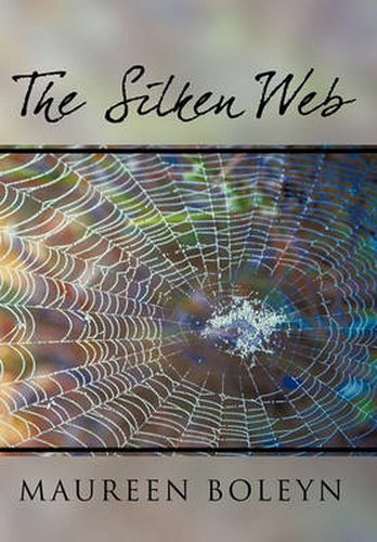 Cover image for The Silken Web