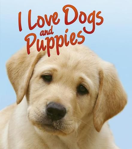 I Love Dogs and Puppies