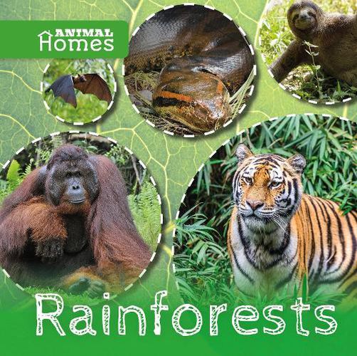 Cover image for Rainforests