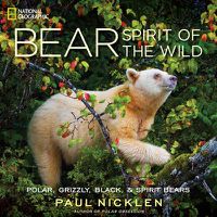 Cover image for Bear: Spirit of the Wild