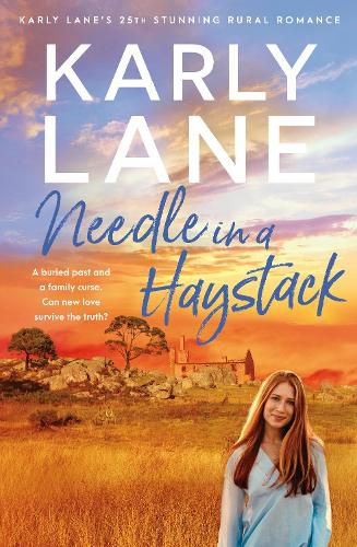 Cover image for Needle in a Haystack