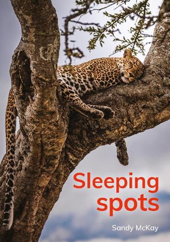 Cover image for Sleeping spots