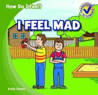 Cover image for I Feel Mad