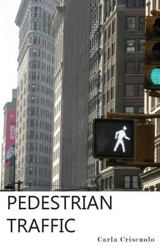 Cover image for Pedestrian Traffic