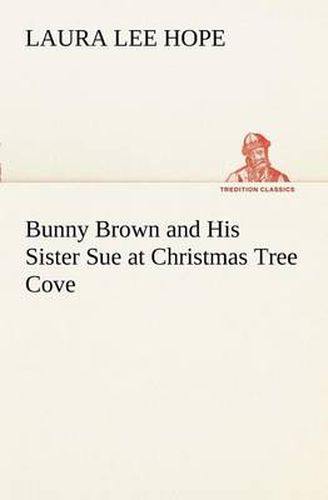 Cover image for Bunny Brown and His Sister Sue at Christmas Tree Cove