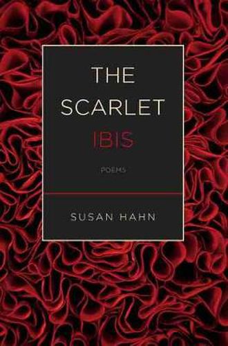 Cover image for The Scarlet Ibis: Poems