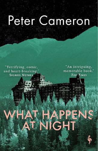 Cover image for What Happens at Night