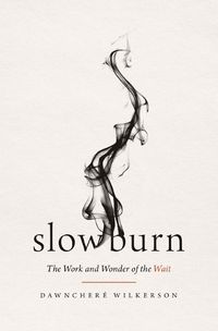 Cover image for Slow Burn