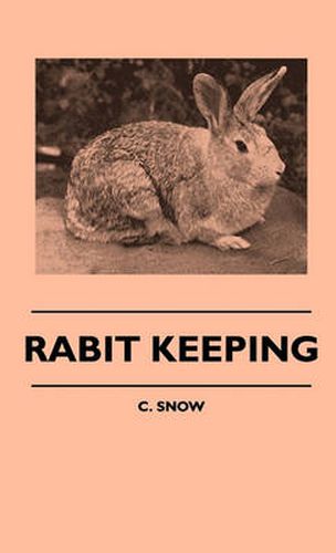 Cover image for Rabit Keeping